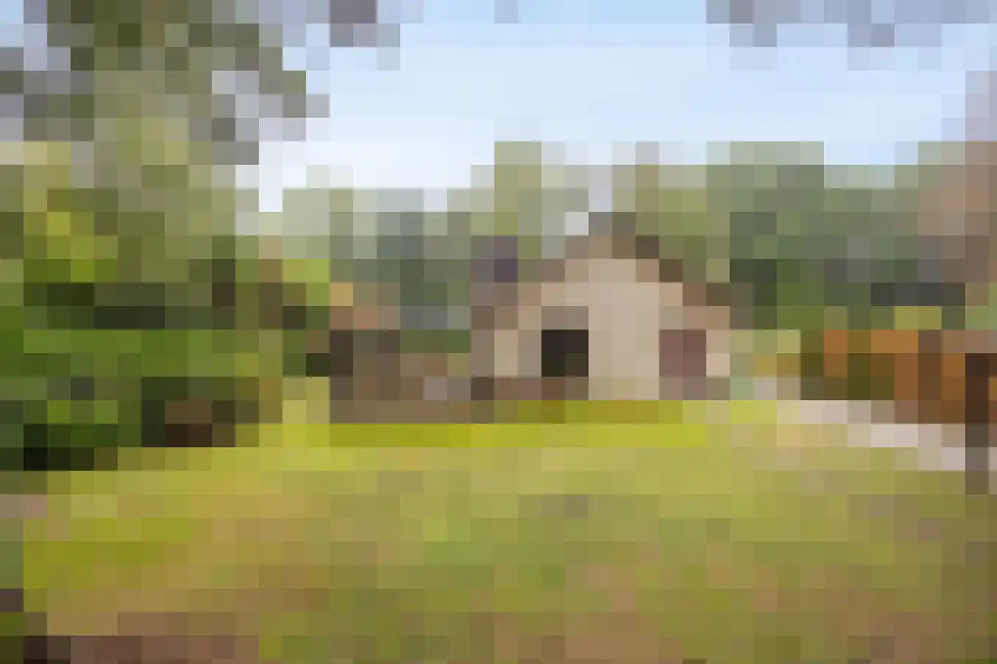 Uilenspiegelstraat 19 Bosschenhoofd thumbnail 37