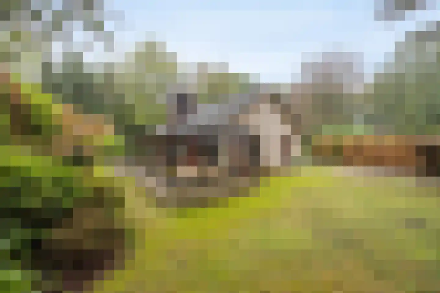 Uilenspiegelstraat 19 Bosschenhoofd thumbnail 38