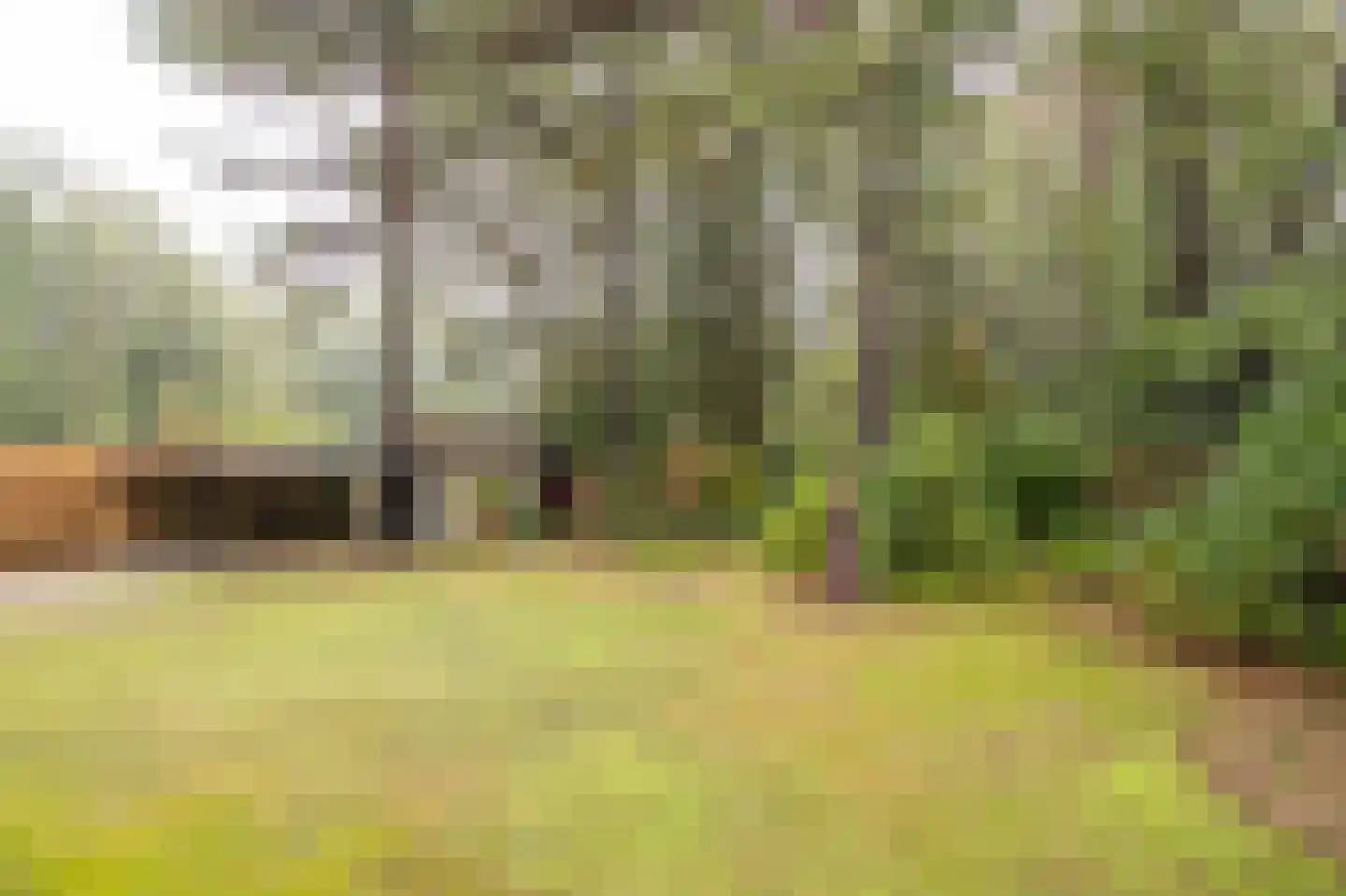 Uilenspiegelstraat 19 Bosschenhoofd thumbnail 39
