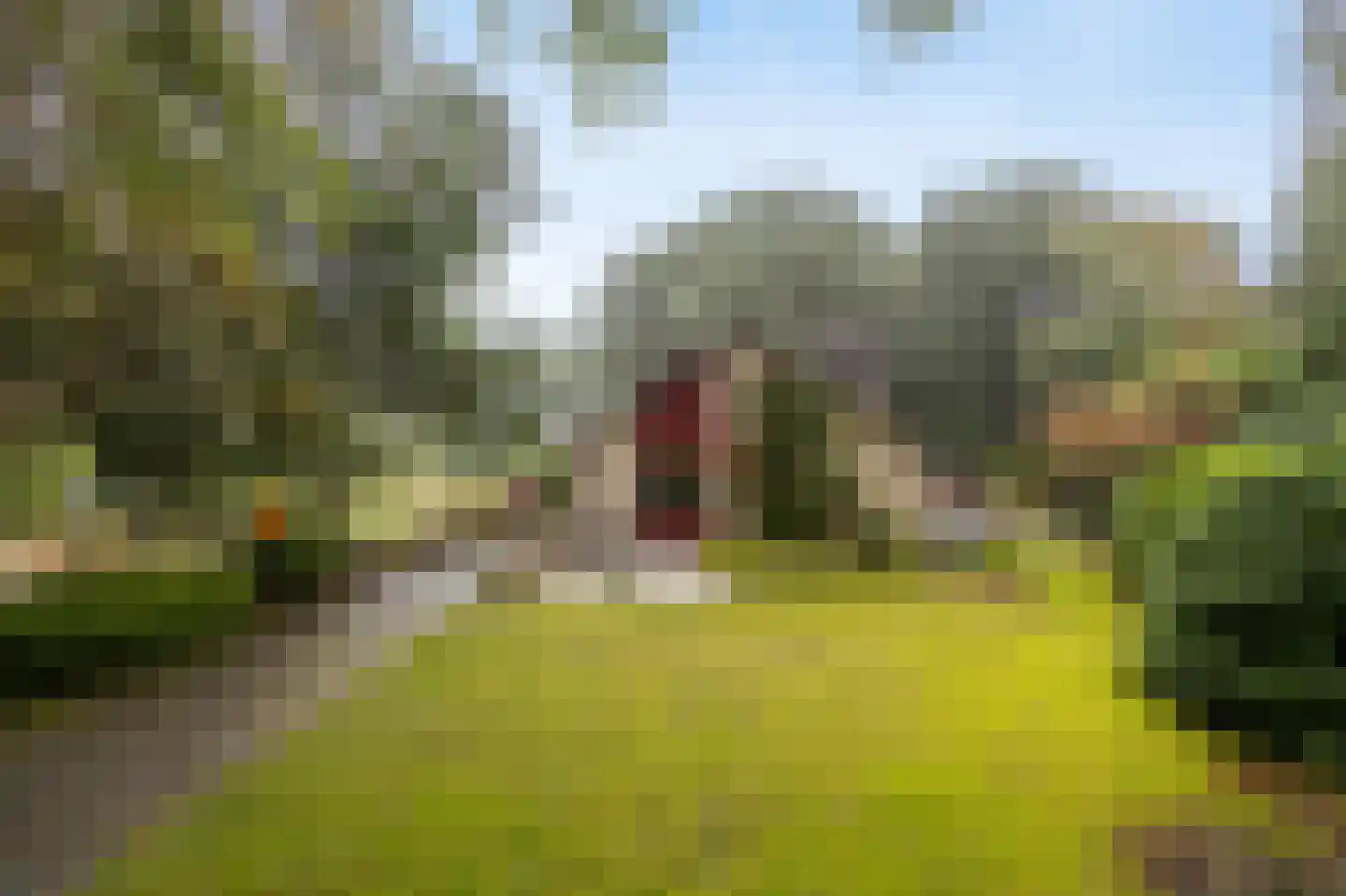 Uilenspiegelstraat 19 Bosschenhoofd thumbnail 43