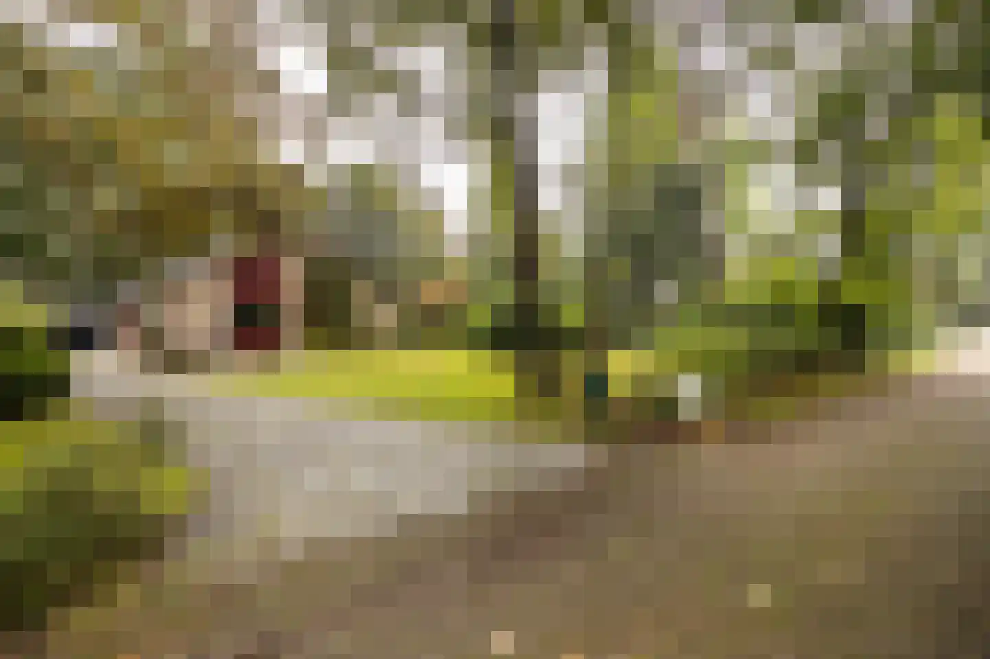 Uilenspiegelstraat 19 Bosschenhoofd thumbnail 44