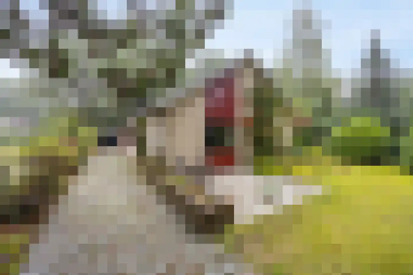 Uilenspiegelstraat 19 Bosschenhoofd thumbnail 45