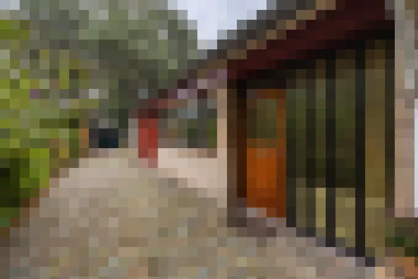 Uilenspiegelstraat 19 Bosschenhoofd thumbnail 46