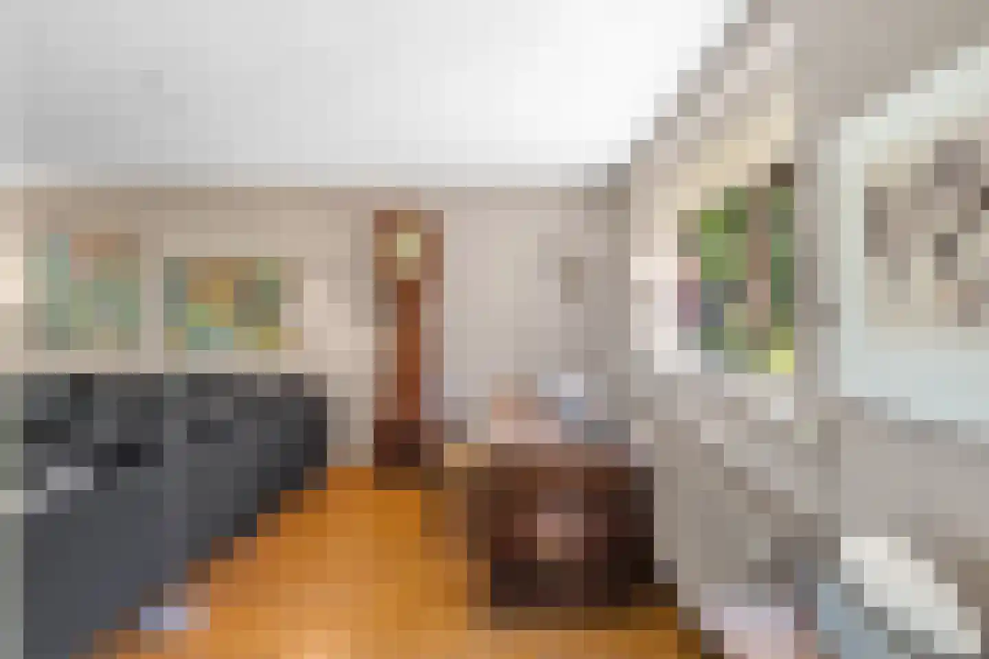 Uilenspiegelstraat 33 Bosschenhoofd thumbnail 11