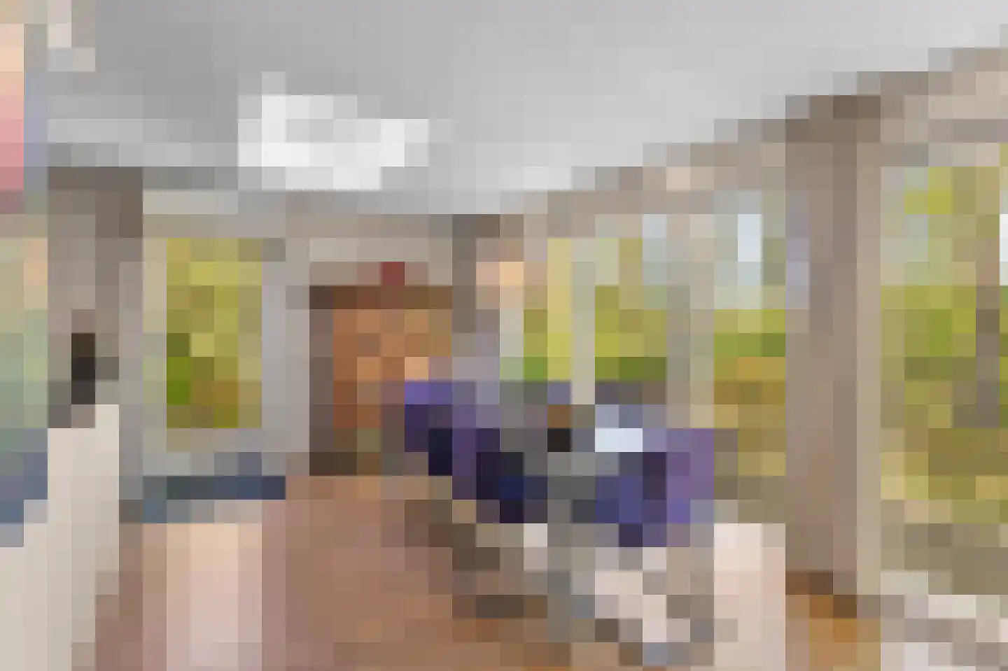Uilenspiegelstraat 33 Bosschenhoofd thumbnail 16