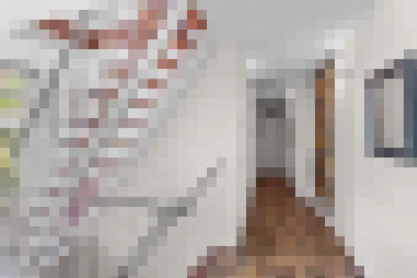 Uilenspiegelstraat 33 Bosschenhoofd thumbnail 32