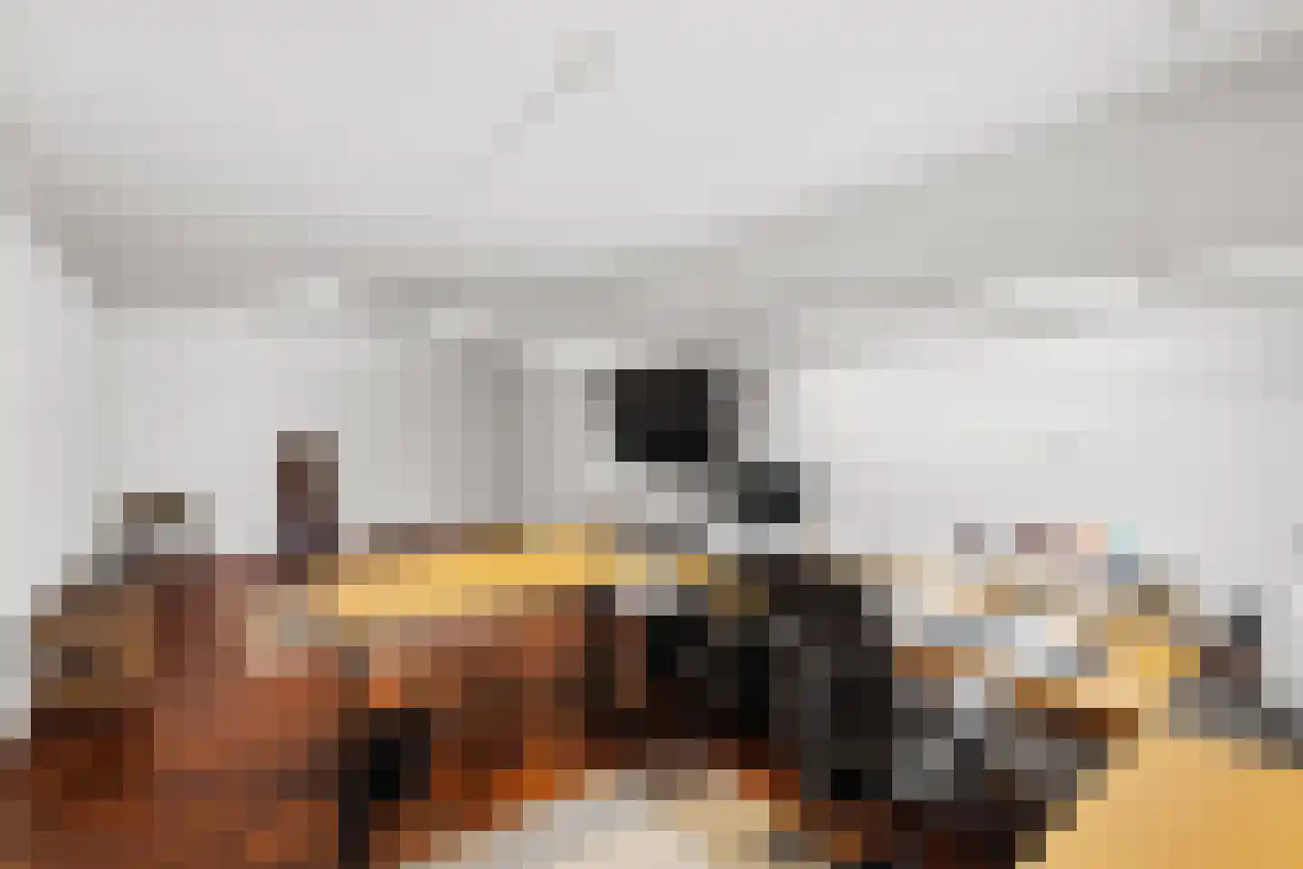 Uilenspiegelstraat 33 Bosschenhoofd thumbnail 42