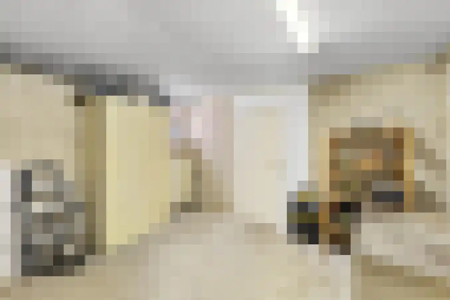 Uilenspiegelstraat 33 Bosschenhoofd thumbnail 47