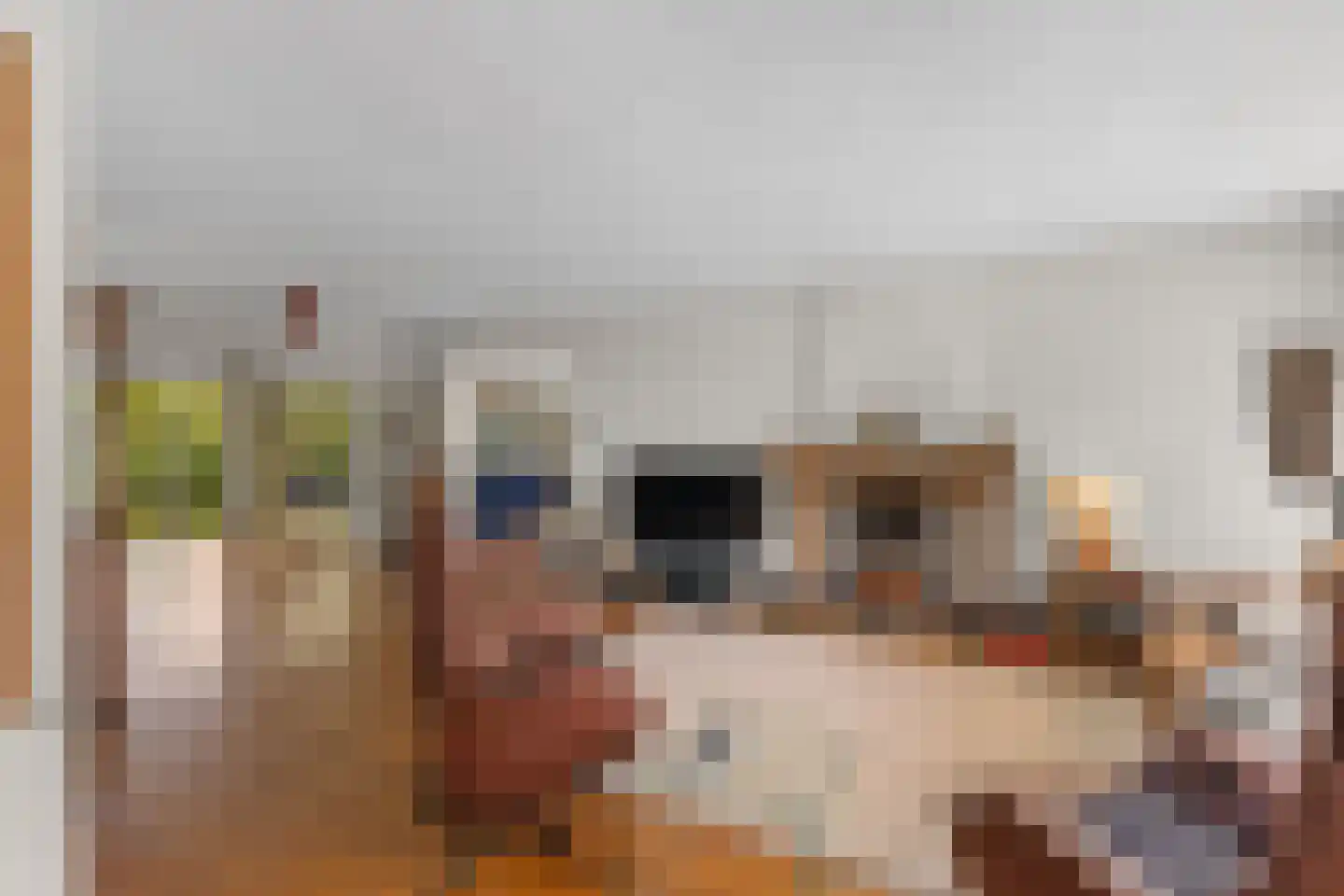 Uilenspiegelstraat 33 Bosschenhoofd thumbnail 5