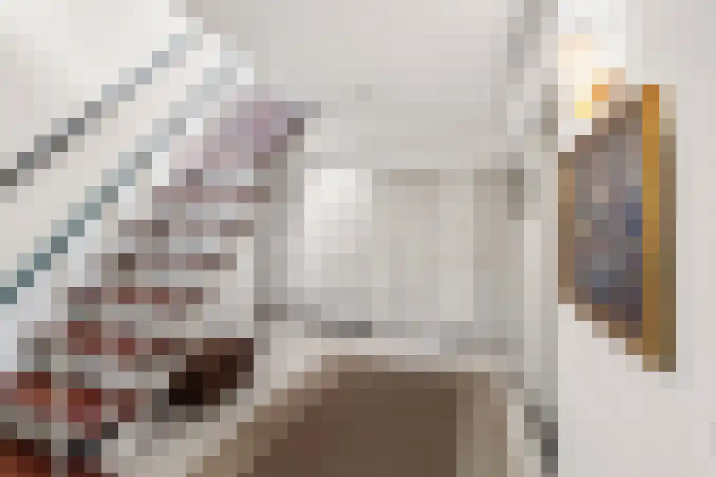 Uilenspiegelstraat 33 Bosschenhoofd thumbnail 52