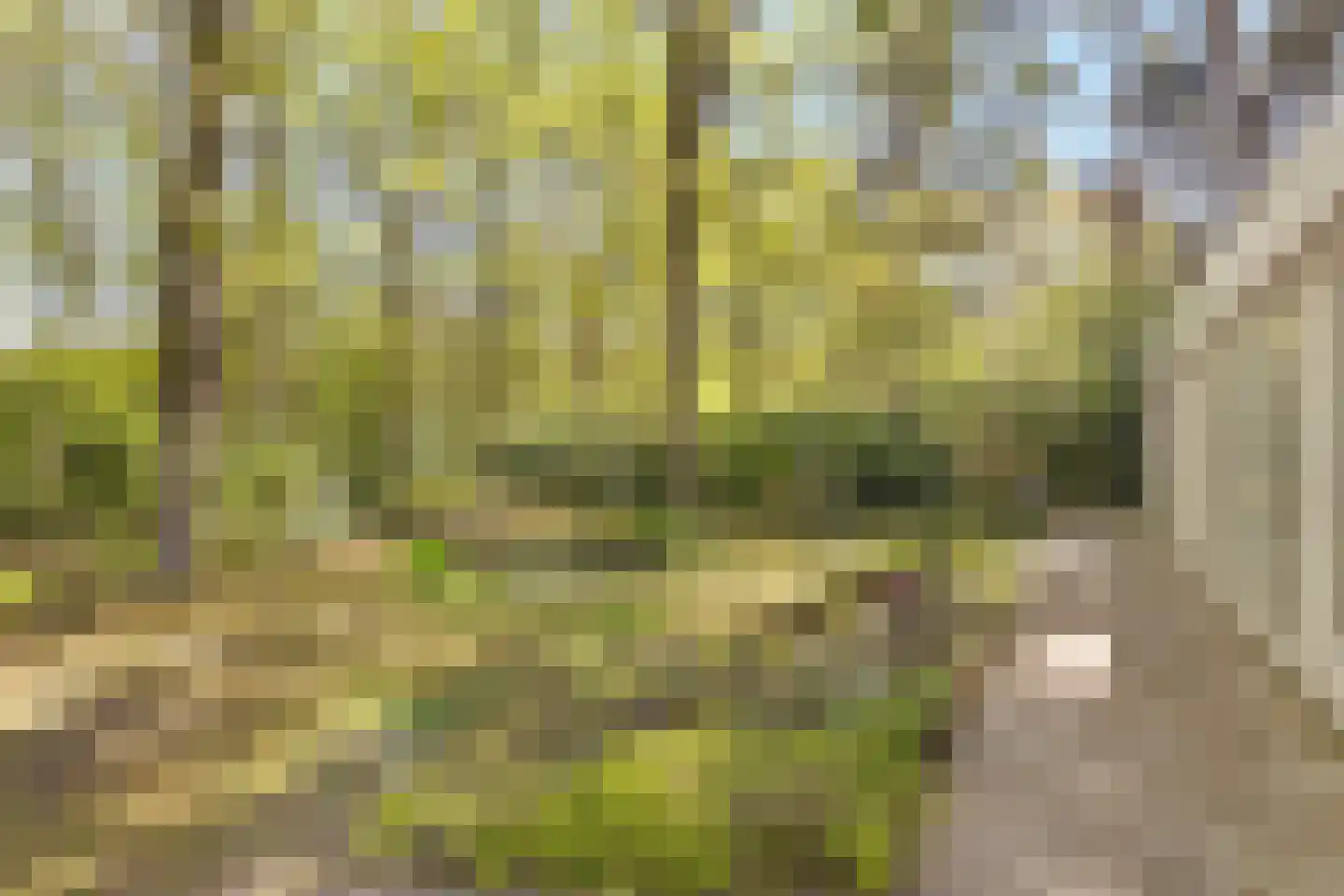 Uilenspiegelstraat 33 Bosschenhoofd thumbnail 53