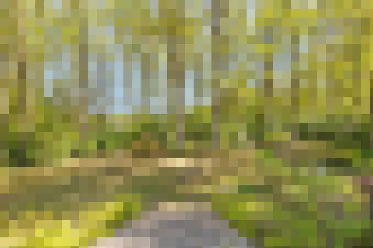 Uilenspiegelstraat 33 Bosschenhoofd thumbnail 54