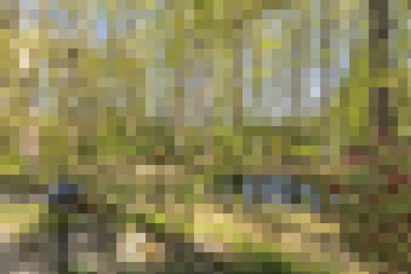 Uilenspiegelstraat 33 Bosschenhoofd thumbnail 55