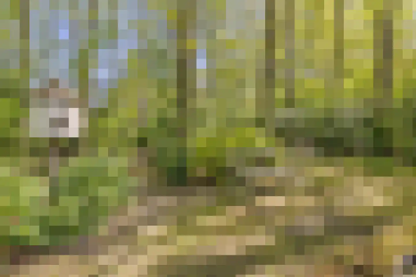 Uilenspiegelstraat 33 Bosschenhoofd thumbnail 58