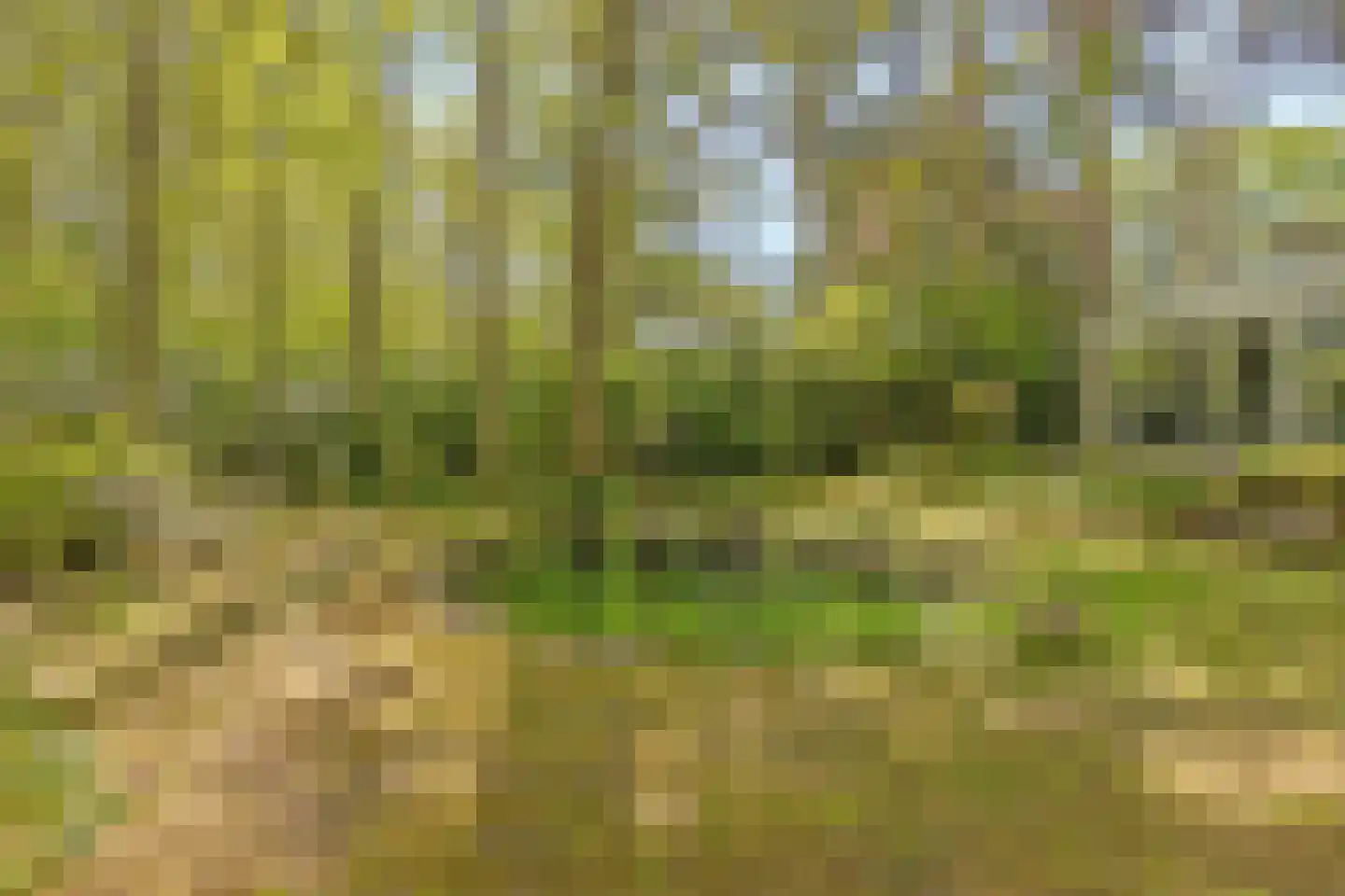 Uilenspiegelstraat 33 Bosschenhoofd thumbnail 59