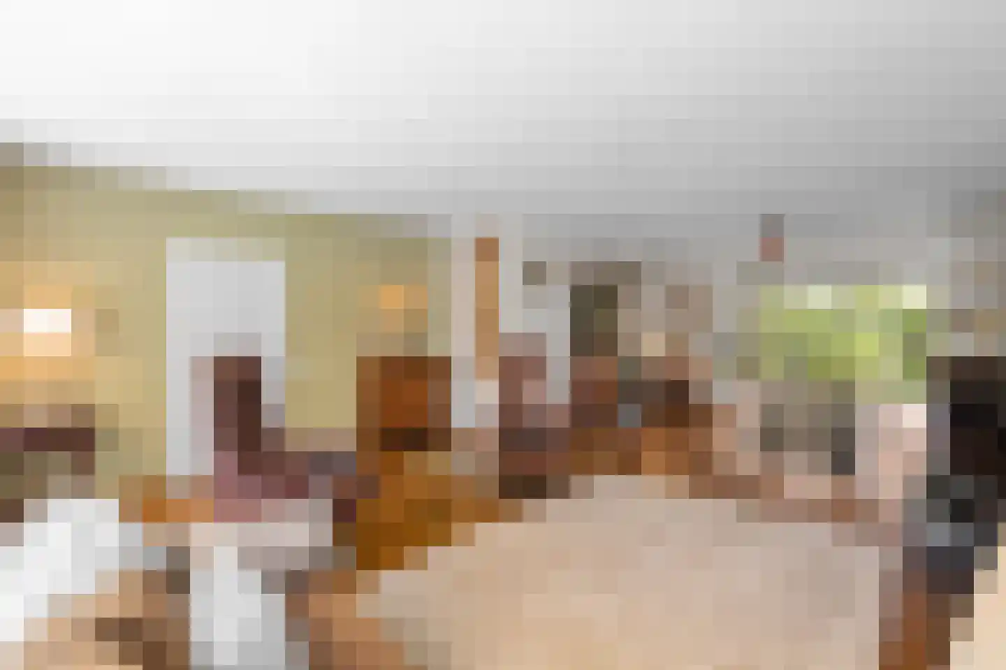 Uilenspiegelstraat 33 Bosschenhoofd thumbnail 6