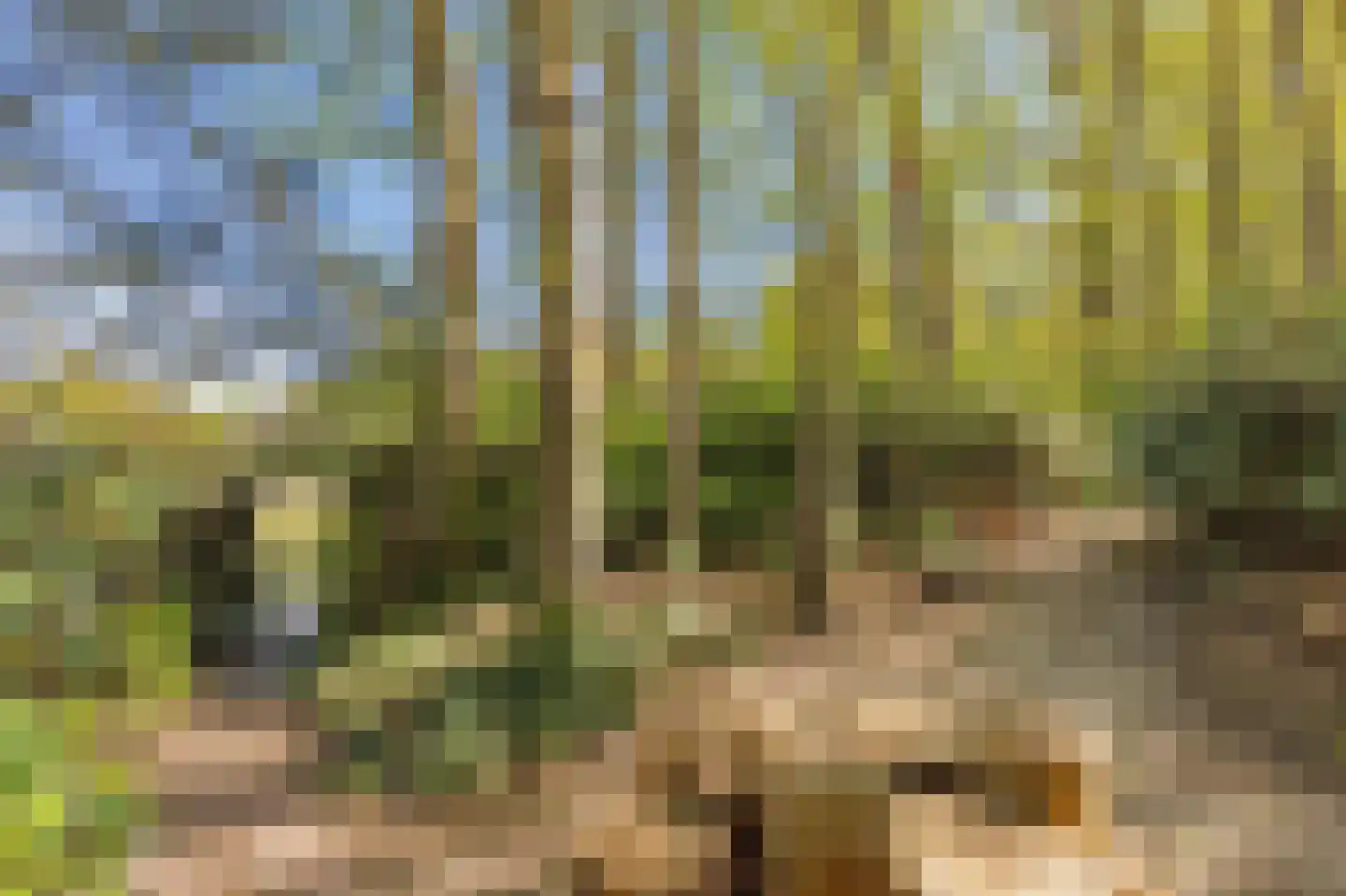 Uilenspiegelstraat 33 Bosschenhoofd thumbnail 63