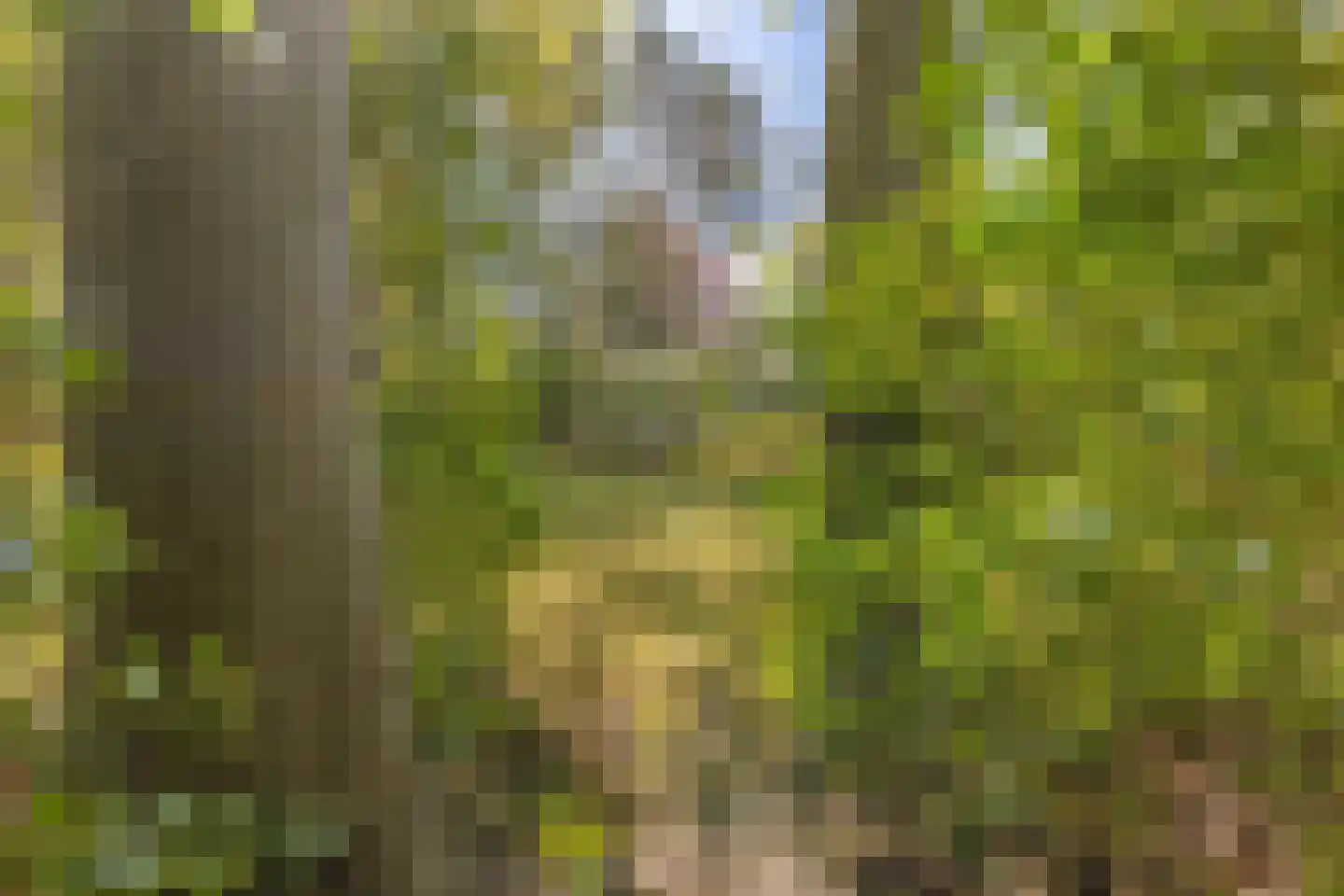 Uilenspiegelstraat 33 Bosschenhoofd thumbnail 64