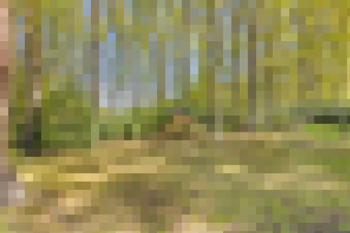 Uilenspiegelstraat 33 Bosschenhoofd thumbnail 65