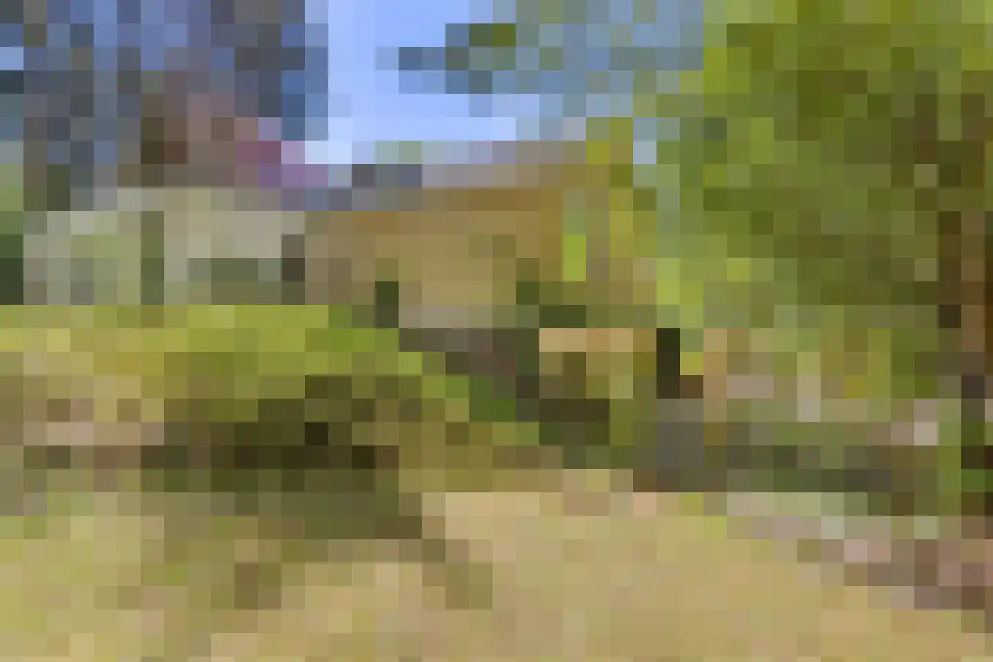 Uilenspiegelstraat 33 Bosschenhoofd thumbnail 66