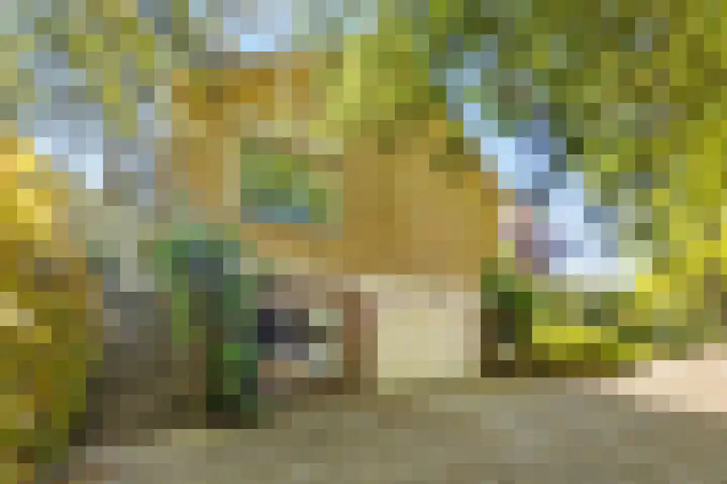 Uilenspiegelstraat 33 Bosschenhoofd thumbnail 67