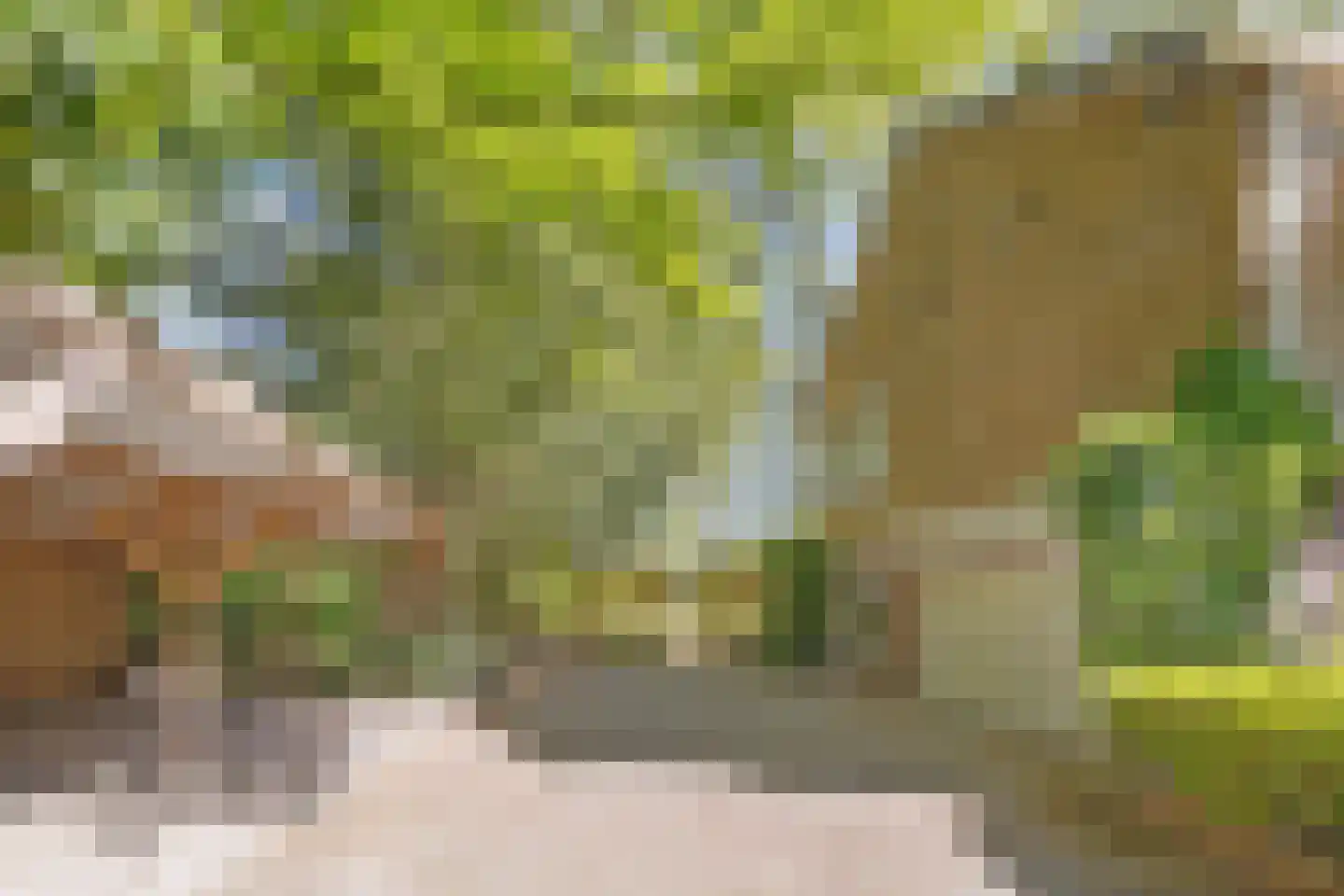 Uilenspiegelstraat 33 Bosschenhoofd thumbnail 68