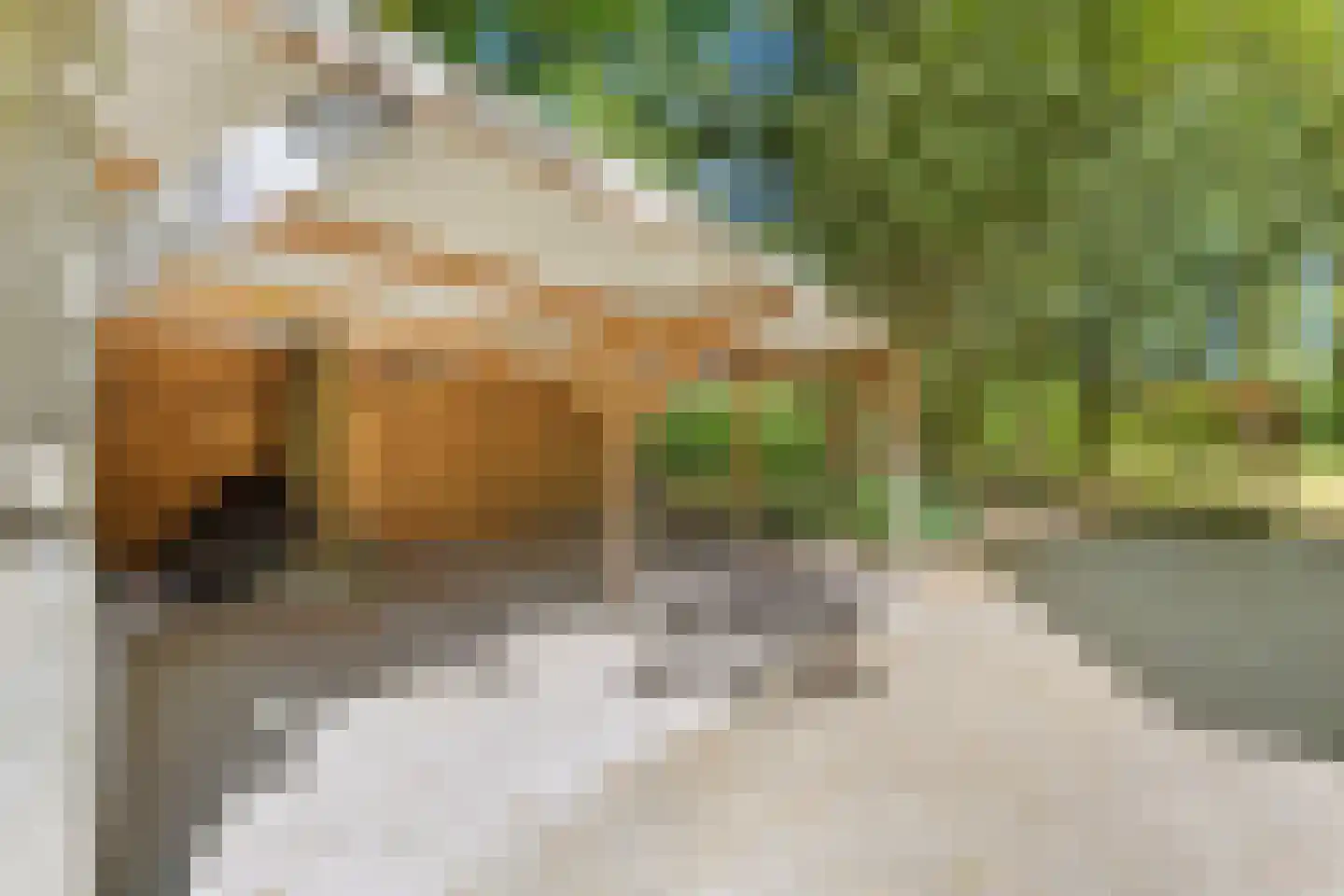 Uilenspiegelstraat 33 Bosschenhoofd thumbnail 69