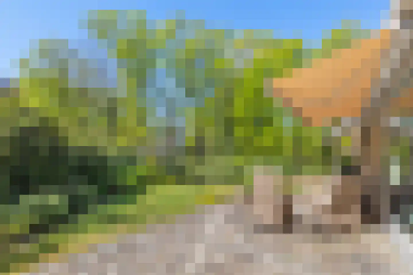 Uilenspiegelstraat 33 Bosschenhoofd thumbnail 70