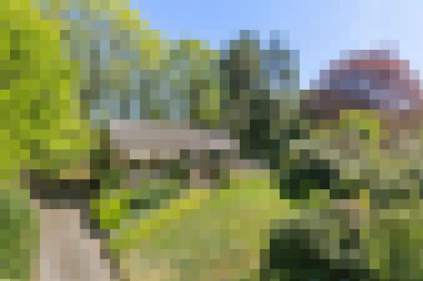 Uilenspiegelstraat 33 Bosschenhoofd thumbnail 74