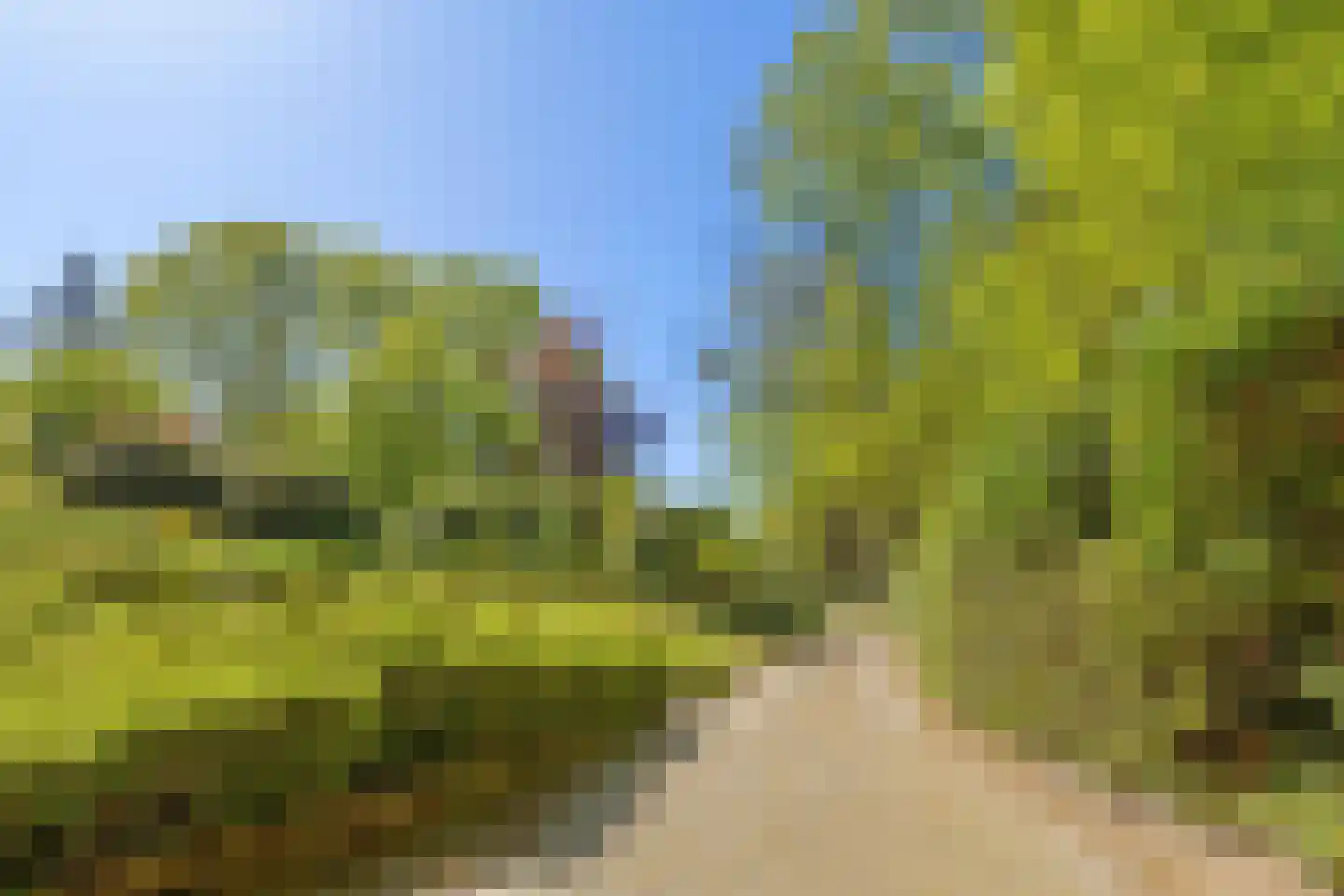 Uilenspiegelstraat 33 Bosschenhoofd thumbnail 75