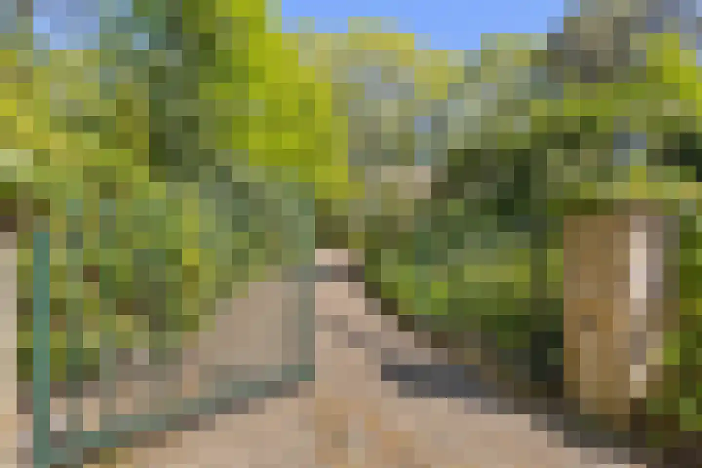 Uilenspiegelstraat 33 Bosschenhoofd thumbnail 76
