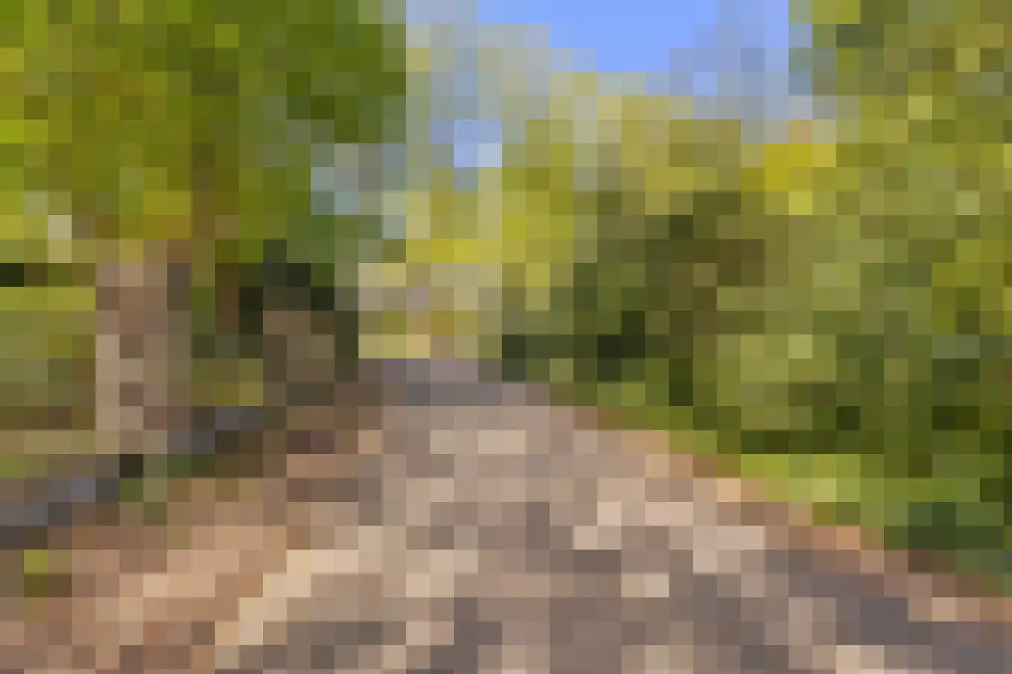 Uilenspiegelstraat 33 Bosschenhoofd thumbnail 78
