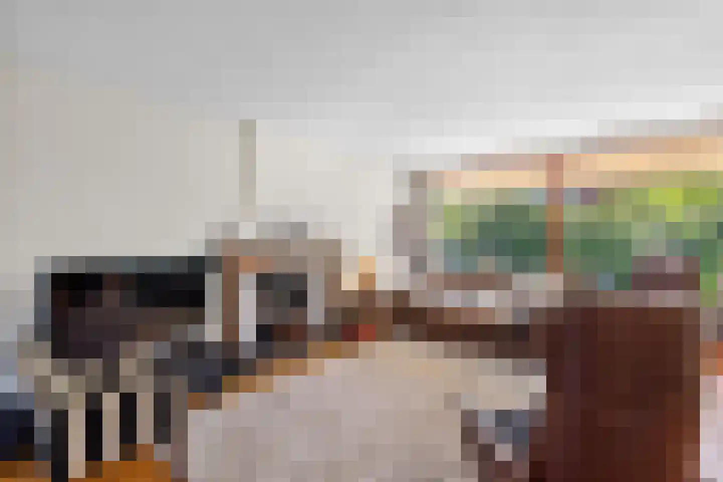 Uilenspiegelstraat 33 Bosschenhoofd thumbnail 8