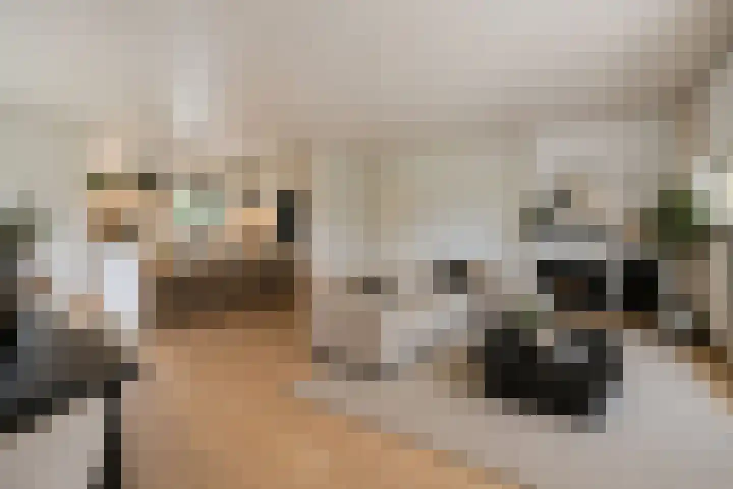 Uilenspiegelweg 5 Bosschenhoofd thumbnail 15