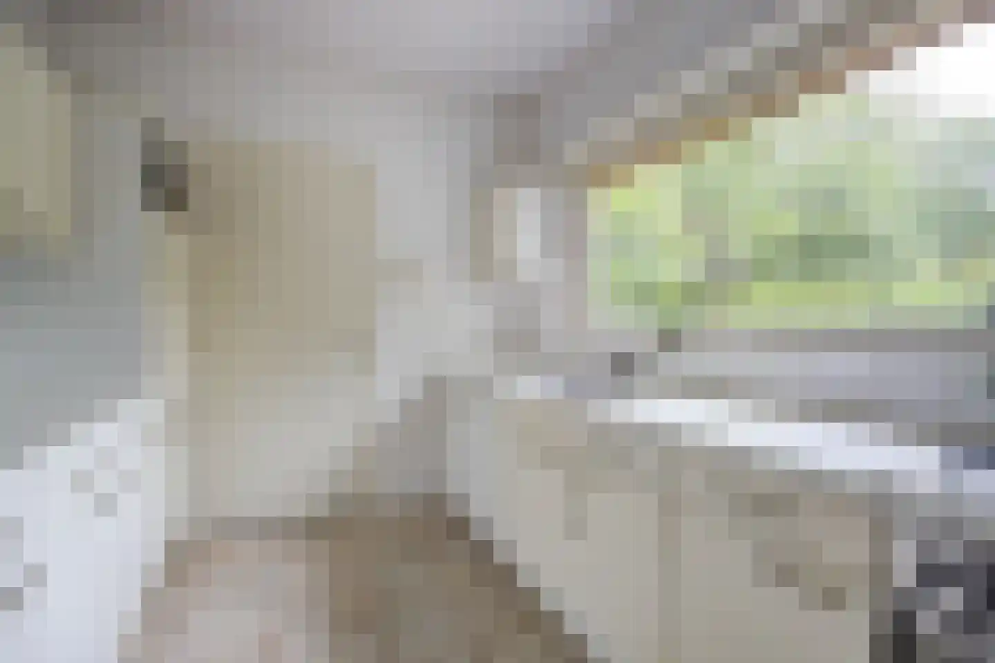 Uilenspiegelweg 5 Bosschenhoofd thumbnail 17
