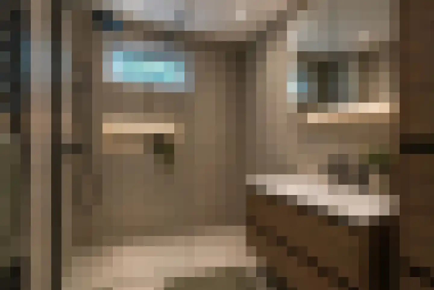 Uilenspiegelweg 5 Bosschenhoofd thumbnail 33
