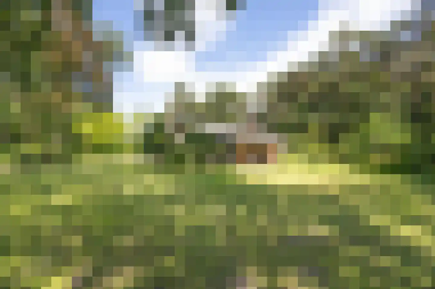 Uilenspiegelweg 5 Bosschenhoofd thumbnail 36