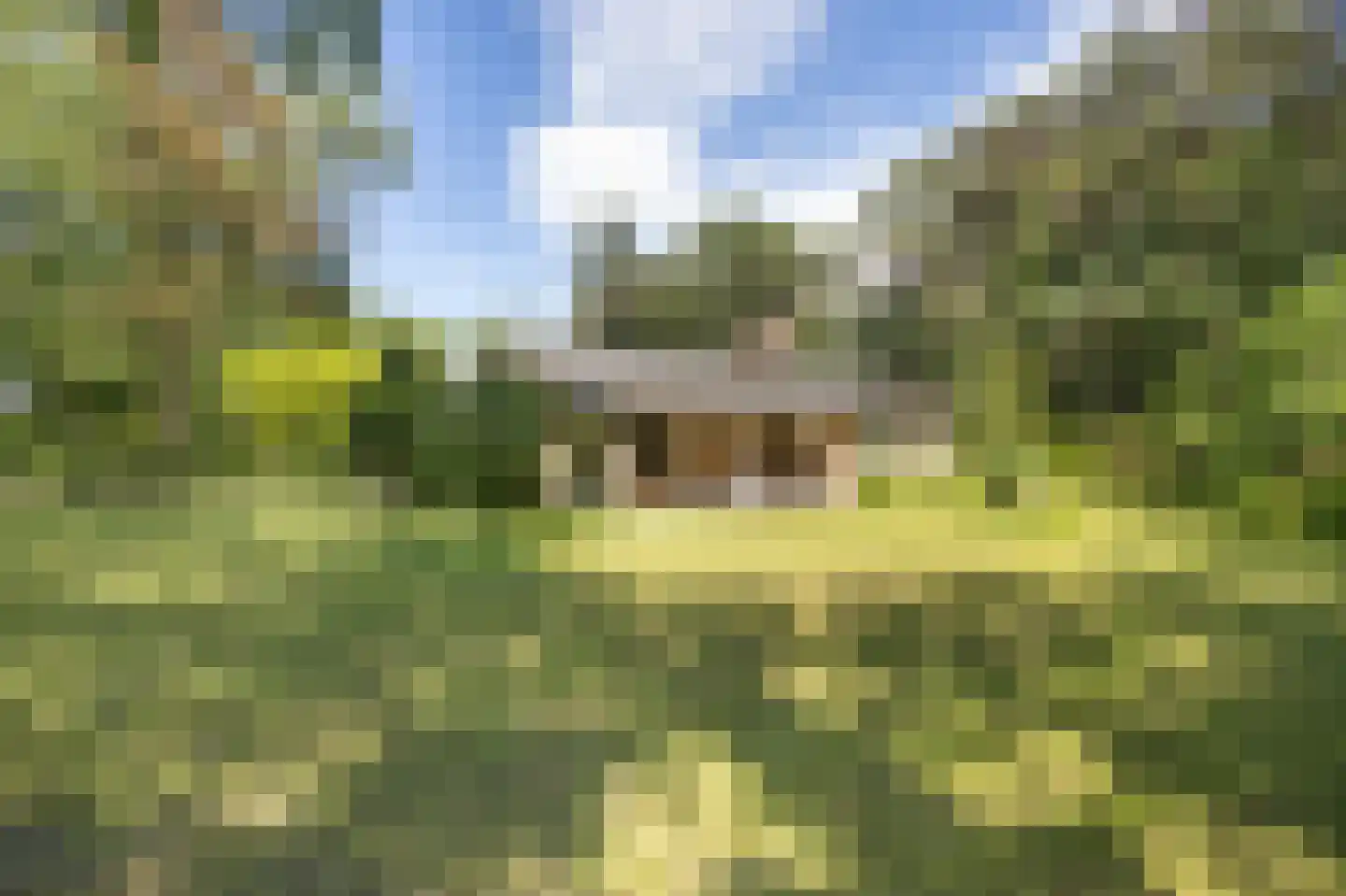 Uilenspiegelweg 5 Bosschenhoofd thumbnail 37