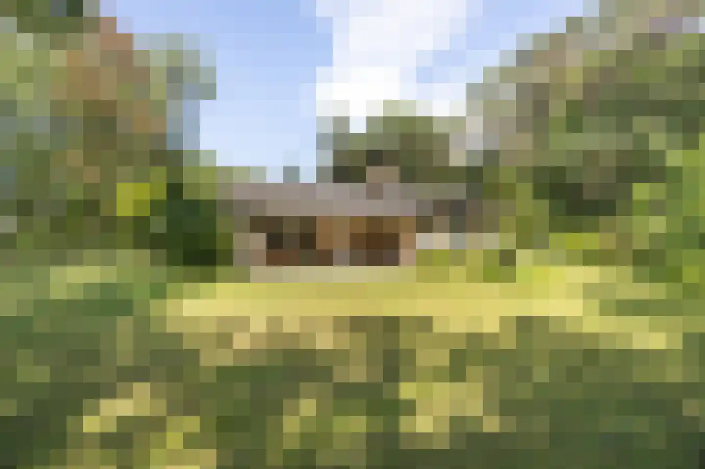 Uilenspiegelweg 5 Bosschenhoofd thumbnail 38