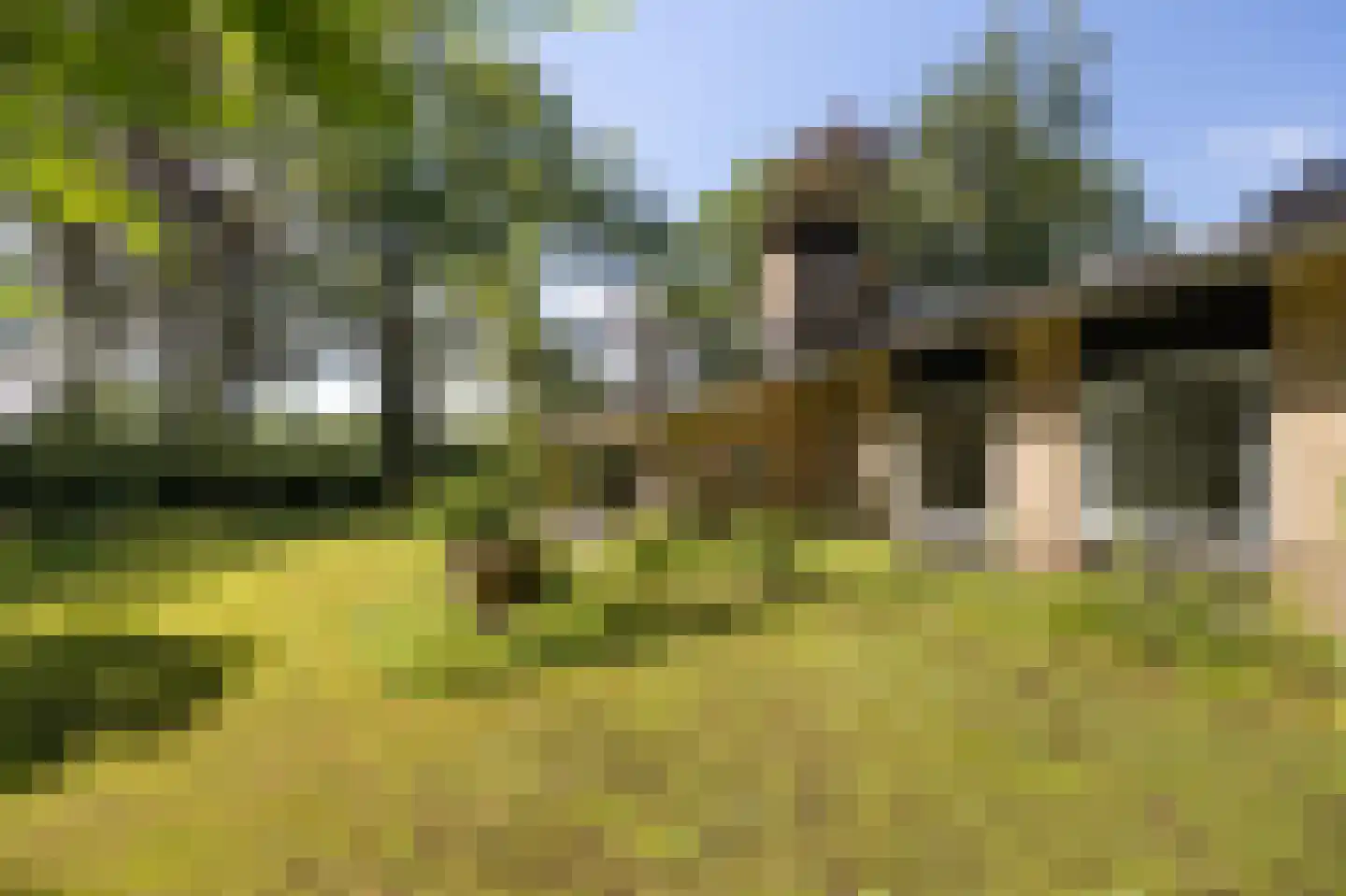 Uilenspiegelweg 5 Bosschenhoofd thumbnail 40