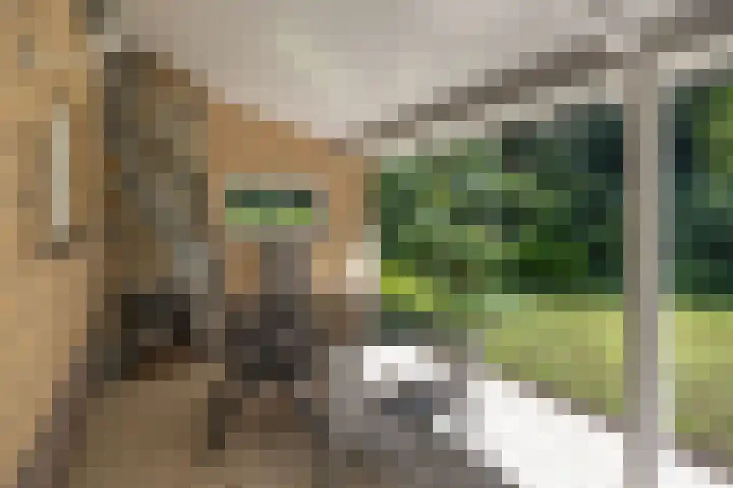 Uilenspiegelweg 5 Bosschenhoofd thumbnail 44