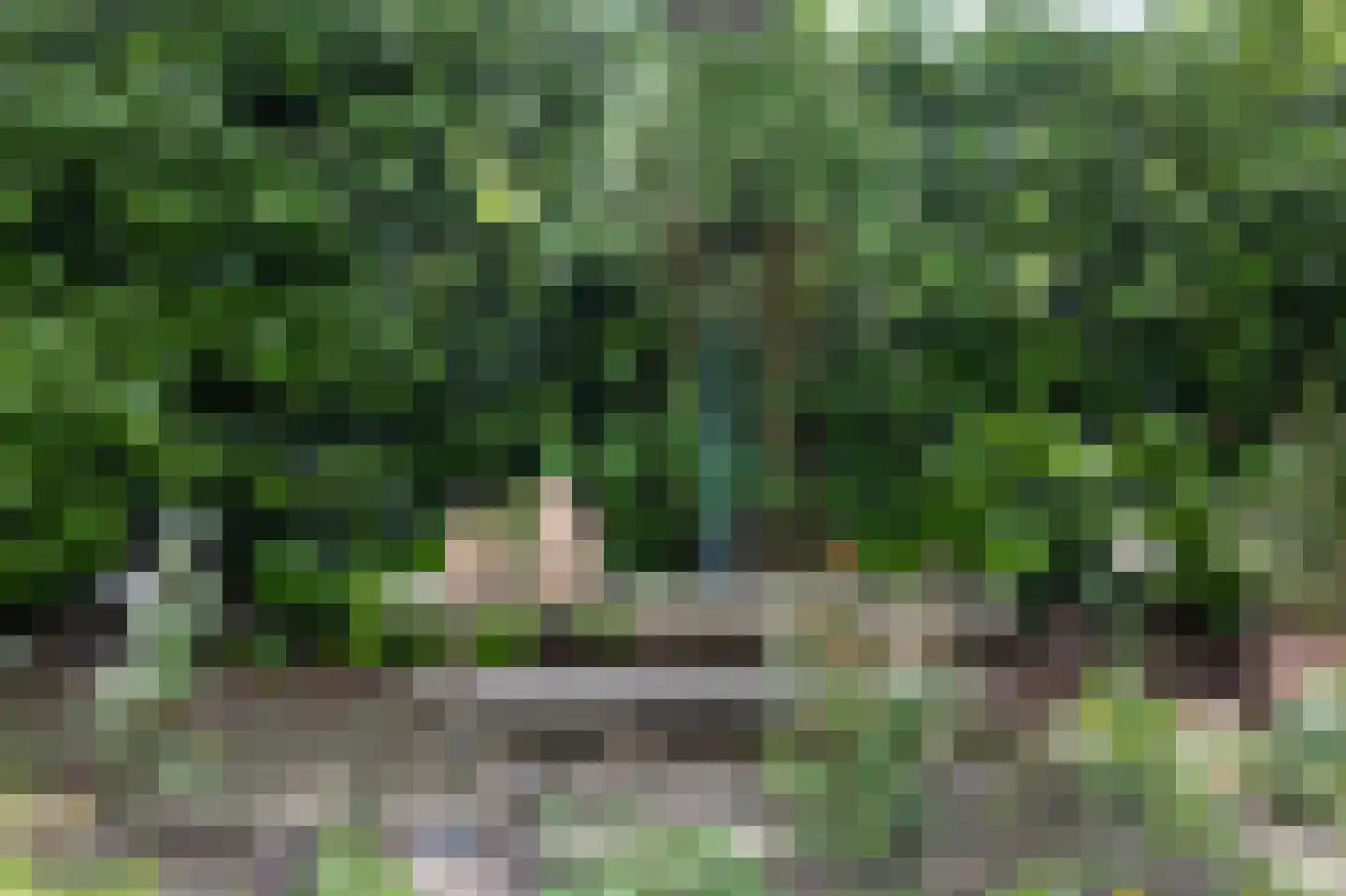 Uilenspiegelweg 5 Bosschenhoofd thumbnail 46