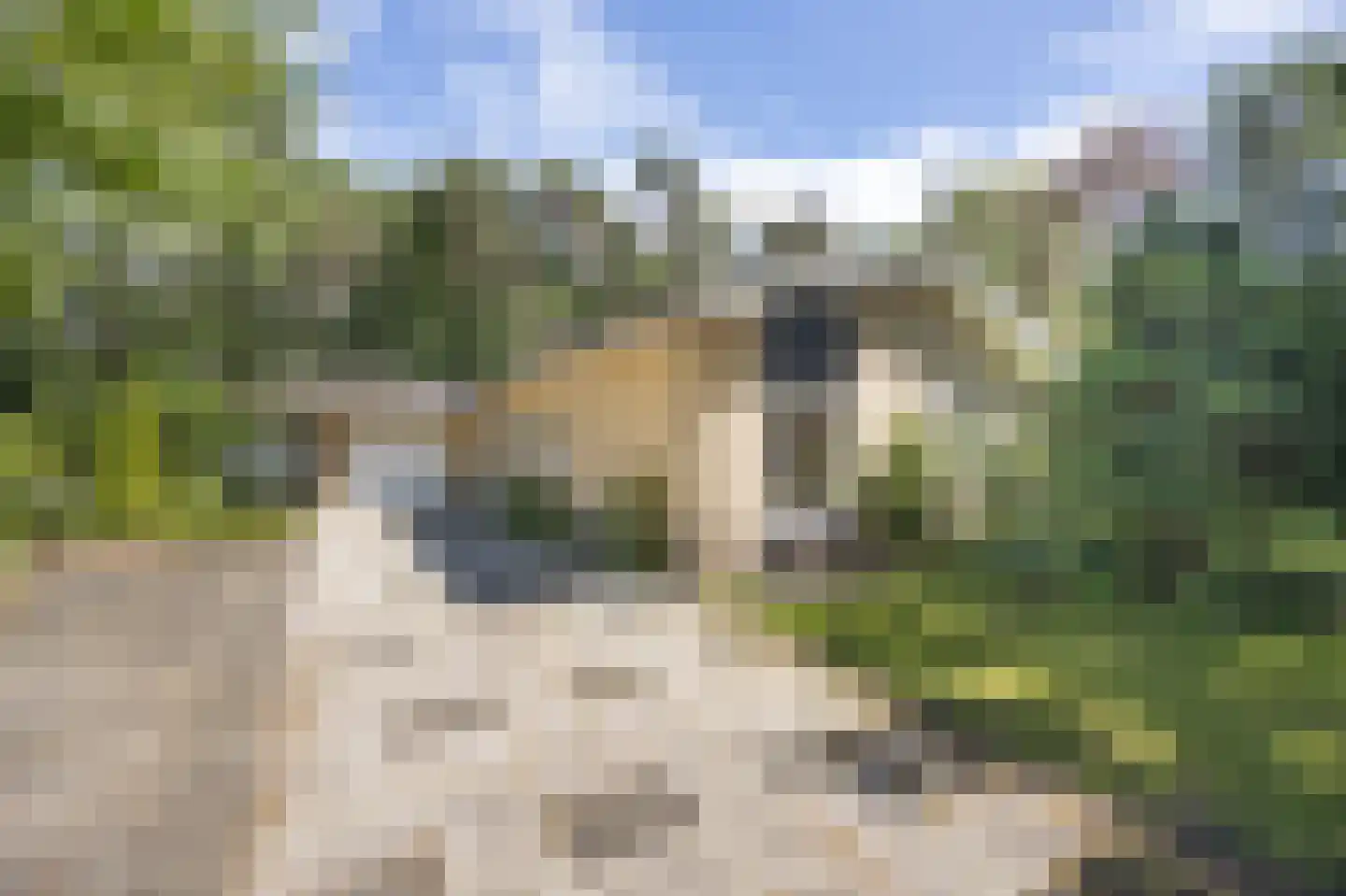 Uilenspiegelweg 5 Bosschenhoofd thumbnail 51