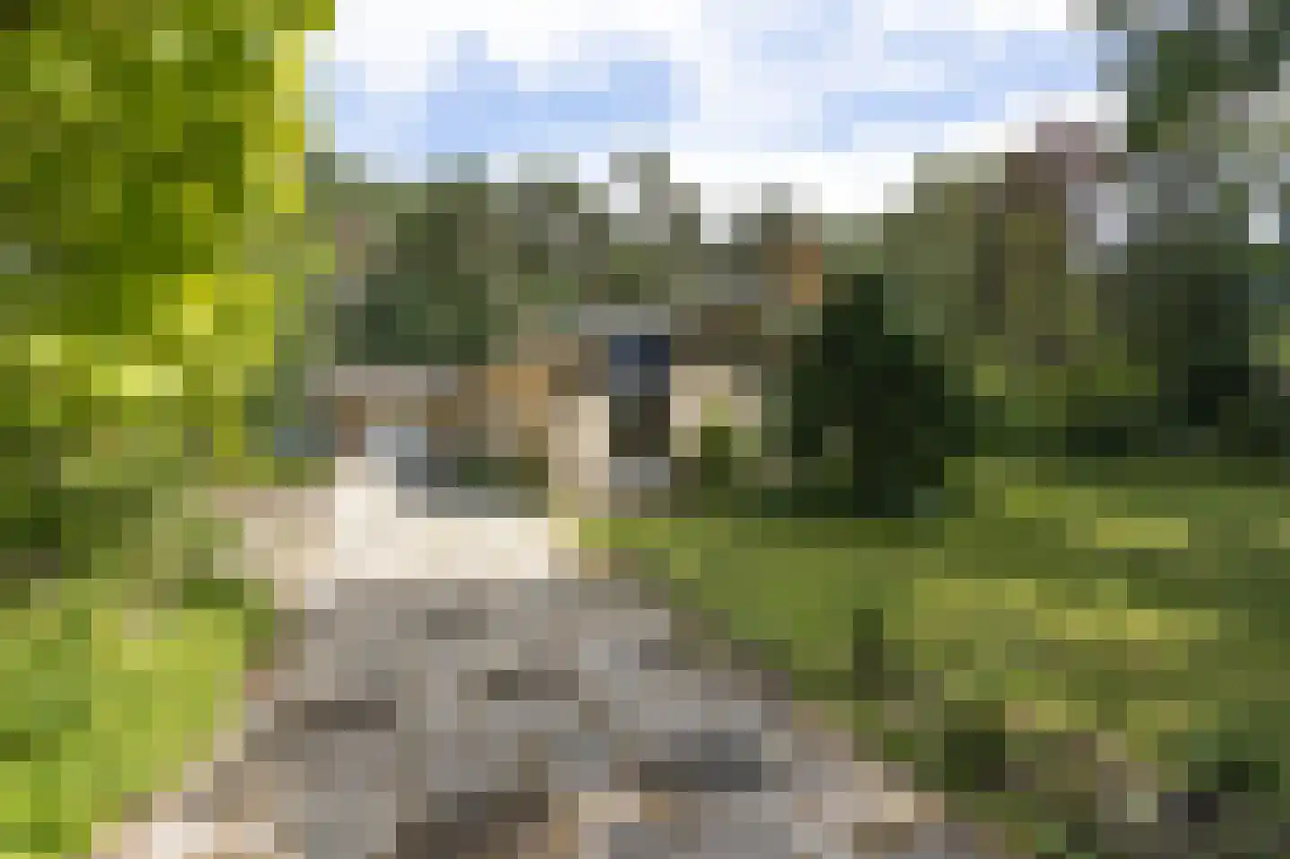 Uilenspiegelweg 5 Bosschenhoofd thumbnail 52