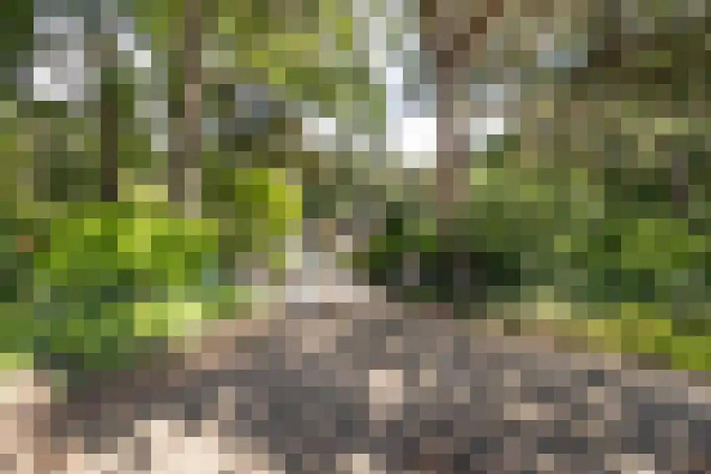 Uilenspiegelweg 5 Bosschenhoofd thumbnail 54