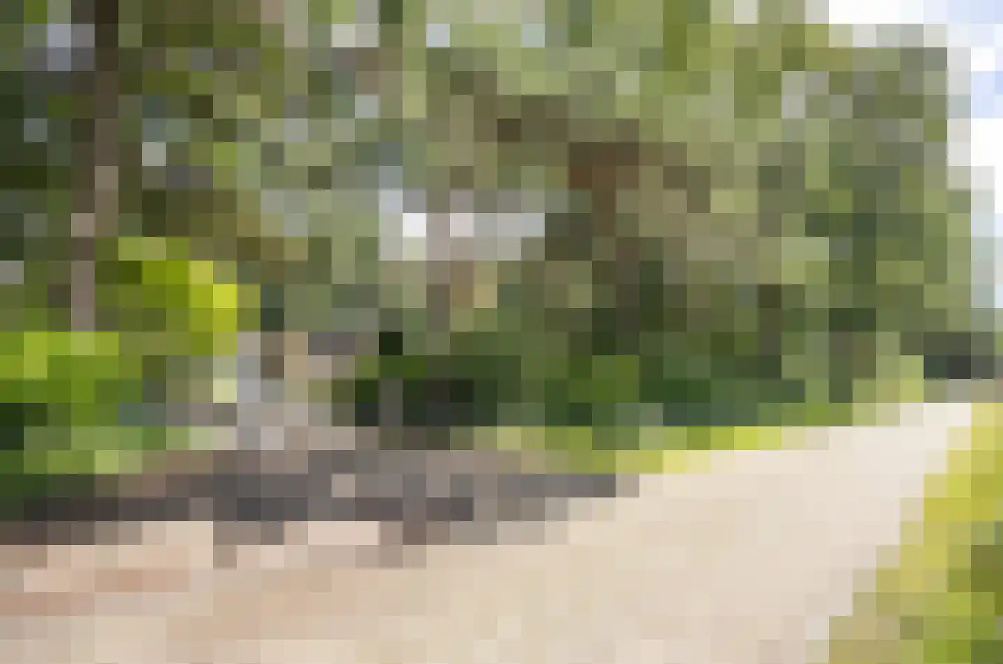 Uilenspiegelweg 5 Bosschenhoofd thumbnail 55