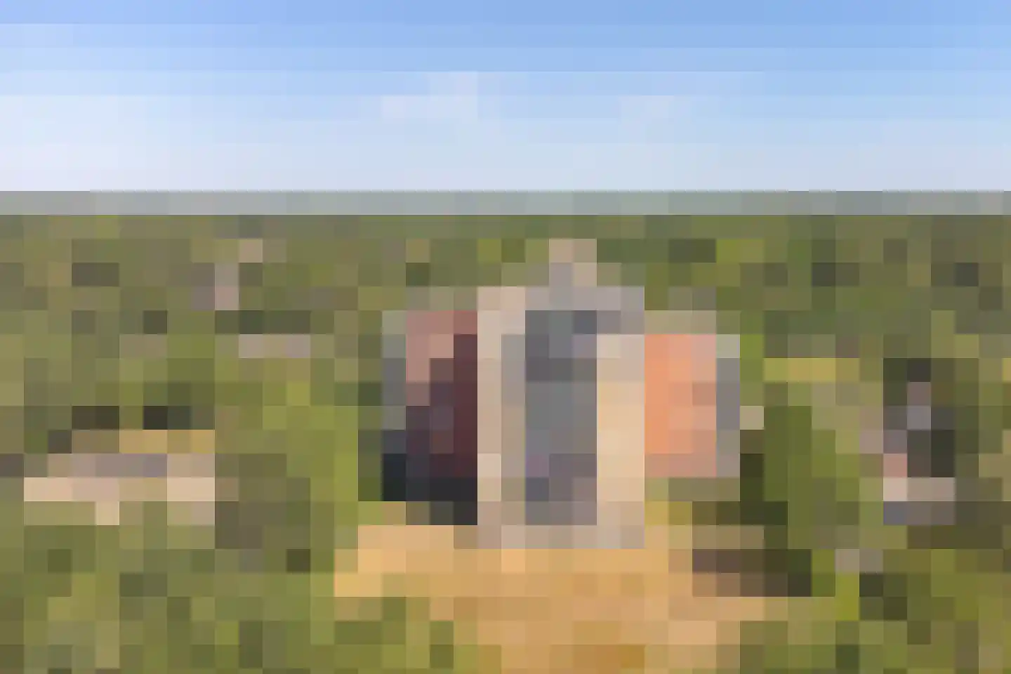 Uilenveld 116 Emmen thumbnail 4