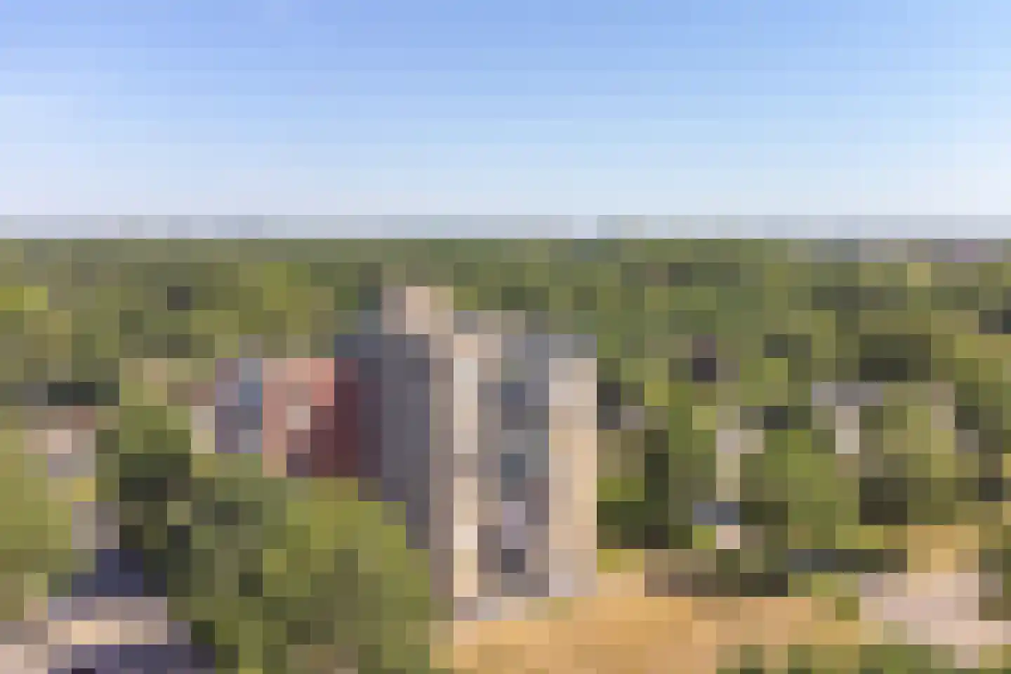 Uilenveld 116 Emmen thumbnail 5