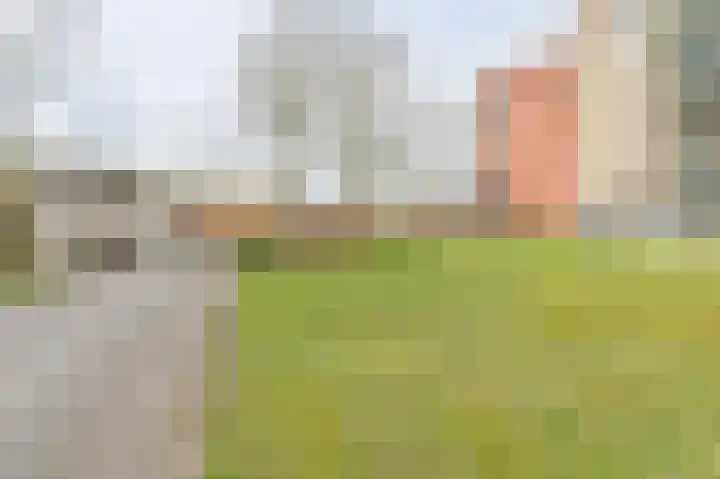 Uilenveld 116 Emmen thumbnail 59