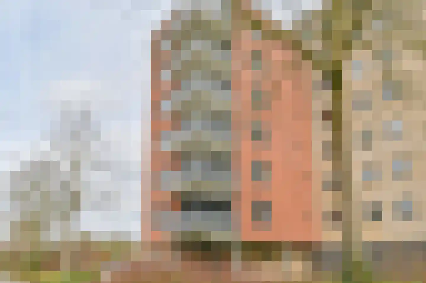 Uilenveld 116 Emmen thumbnail 61